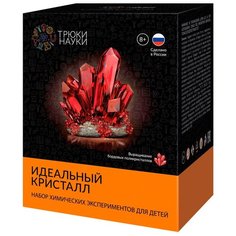 Набор для исследований Трюки науки Идеальный кристалл бордовый