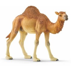 Фигурка Schleich Дромадер (Одногорбый верблюд) 14832