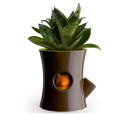 Горшок самополивающийся Qualy Log&Squirrel коричневый-зеленый
