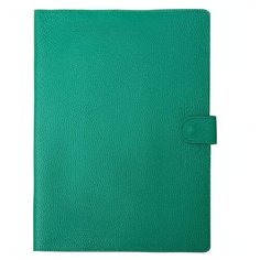 Органайзер для документов формат А4 / 31,5х24 см Richline ПДГ-412/Зеленый