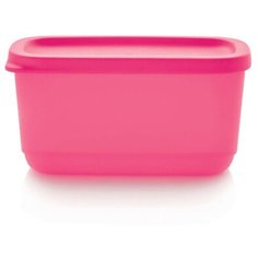 Контейнер "Кубикс", 250 мл 2 шт Tupperware