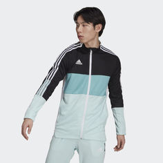 Олимпийка Tiro adidas Performance