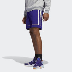Шорты Donovan Mitchell adidas Performance