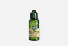Шампунь для волос L`Occitane
