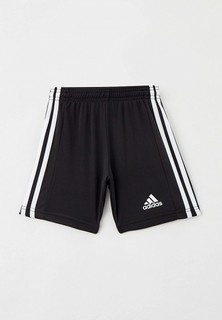 Шорты спортивные adidas