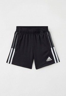 Шорты спортивные adidas