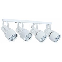Спот Arte Lamp Lyra A6252PL-4WH