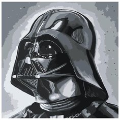 Картина по номерам «Дарт Вейднр-3», 40x40 см, Живопись по Номерам