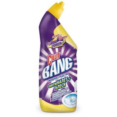 Cillit BANG гель Сила Весны, 0.45 л