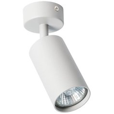 Спот AQUARIUS A3216PL-1GY Arte Lamp