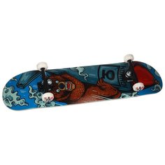 Скейтборд Юнион Rocket Bear 31.75X8.125 (80,65 X 20,64 см)