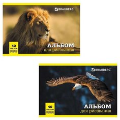 Альбом для рисования, А4, 40 л., скоба, обложка картон, BRAUBERG, 200х283 мм, "Дикие животные" (2 вида), 104876