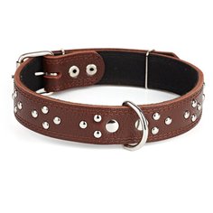 Ошейник KareLine 35мм 500-630мм с украшением коричневый