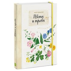 Васильева А. "Мой гербарий. Цветы и травы"