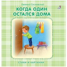 Сосновский Е. "Когда один остался дома" Робинс