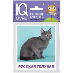 Малунова М.В. "Умный малыш. Породы кошек. Набор карточек для детей" АЙРИС пресс