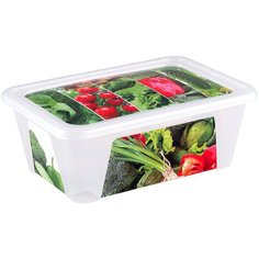 ПОЛИМЕРБЫТ Контейнер "Green&Red" с декором 0.9 л., 12.4x18 см, белый/овощи
