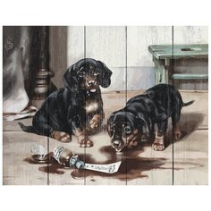 DALI Картина по номерам "Два щенка" 40х50 см (WH004)