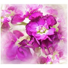 Фотообои/D коллекция Фотообои/D коллекцияЦветы дымка 300х270 см Divino