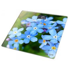 HOME ELEMENT HE-SC904 {new20} незабудки весы напольные сенсор
