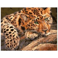 Картина по номерам "Леопард", 30х40 см Цветной