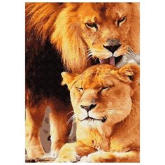 Картина по номерам "Львиная нежность", 40х50 см Цветной