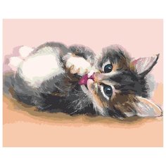 Картина по номерам "Милый котенок", 40х50 см Цветной