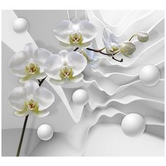 Фотообои/P коллекцияОрхидея на объемных волнах 300х270 Divino