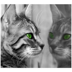 Фотообои/P коллекцияКошка 300х270 см Divino