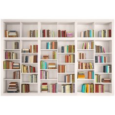 Фотообои/P коллекцияКнижные полки 400х270 Divino