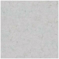 Обои Bn International BN 219820, Винил на флизелине 53 см