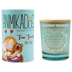 Свеча ароматическая Ambientair True Friend Animikados