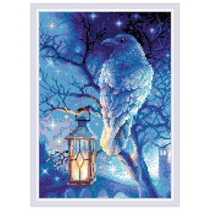 Алмазная мозаика РИОЛИС "Мудрый ворон"