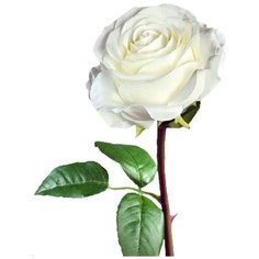 Искусственный цветок "Роза Соло Нью большая белая" 72 см Gerard de ros