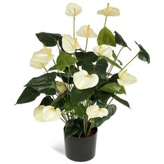 Искусственное растение "Антуриум Де Люкс большой куст кремовый в кашпо" 75 см, цвет: кремовый Gerard de ros