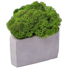 Кашпо бетонное со мхом (гама-циркон мох зеленый) Oktaur