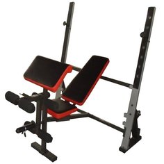 Скамья под штангу с опциями DFC D1066