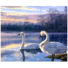 Color Kit Картина по номерам "Лебеди" 30х40 см (KS029)