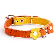 Ошейник KareLine 10мм 160-230мм с апликацией