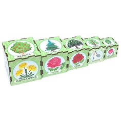 WoodLandToys Сортер-пирамидка "Растительный мир"