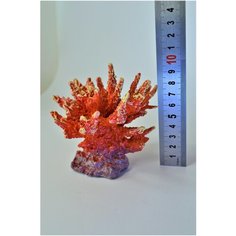 Коралл для аквариума Marvelous Aqva, К-002/5