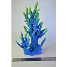 Коралл для аквариума Marvelous Aqva, К-044/5