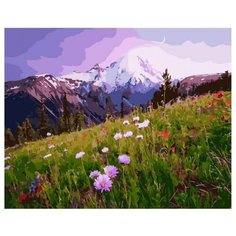 Картина по номерам GX 38958 Полевые цветочки 40*50 Paintboy