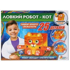 Набор Играем вместе Ловкий робот - кот (TX-10007)