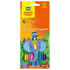 Мульти-Пульти Карандаши цветные Енот в Индии 12 цветов (CP_10746)