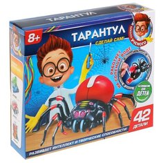 Набор Играем вместе Тарантул (ZY-208077-R)