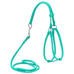 CoLLaR Glamour Шлейка круглая №1 д/мелких собак и кошек с поводком (ширина 6мм, А:46-66см, В:40-6) ментоловый