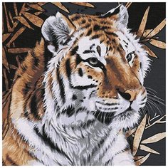 Картина по номерам "Тигр", 30x30 см Котеин