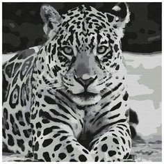 Картина по номерам "Ягуар", 30x30 см Котеин