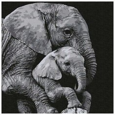 Картина по номерам "Большая забота", 30x30 см Котеин